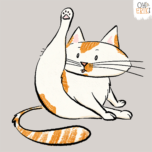 illustrated cat brand